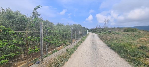 terreno agricolo in vendita ad Albenga in zona Bastia