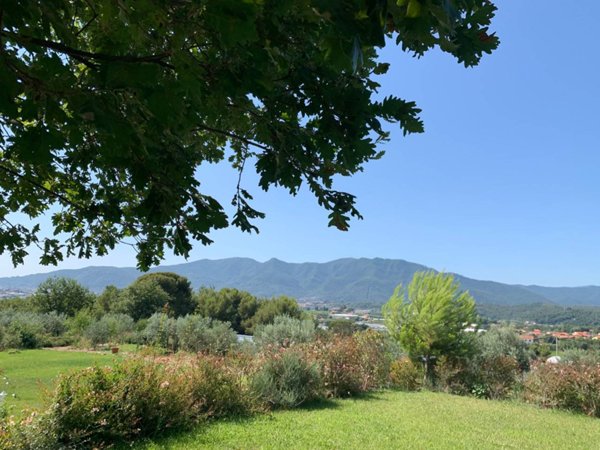 terreno agricolo in vendita ad Albenga in zona Campochiesa