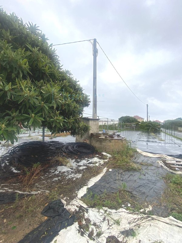terreno agricolo in vendita ad Albenga in zona Campochiesa
