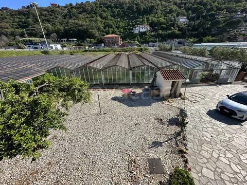 terreno agricolo in vendita ad Albenga in zona Vadino