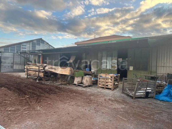 appartamento in vendita ad Albenga in zona Salea
