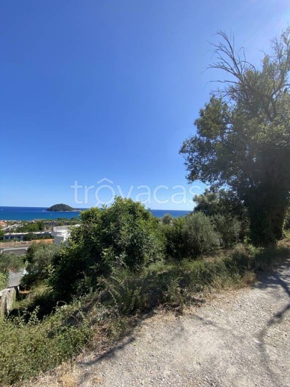 terreno agricolo in vendita ad Albenga