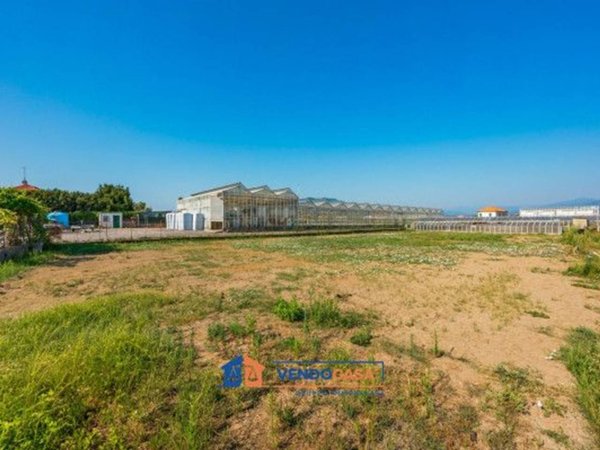 terreno agricolo in vendita ad Albenga