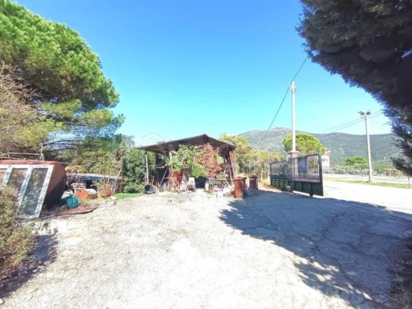 terreno agricolo in vendita ad Albenga in zona Salea