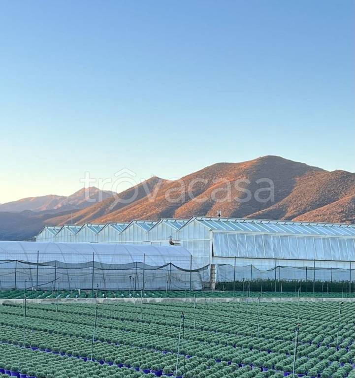 terreno agricolo in vendita ad Albenga