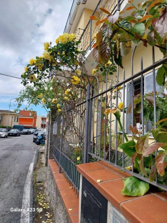 appartamento in vendita ad Albissola Marina