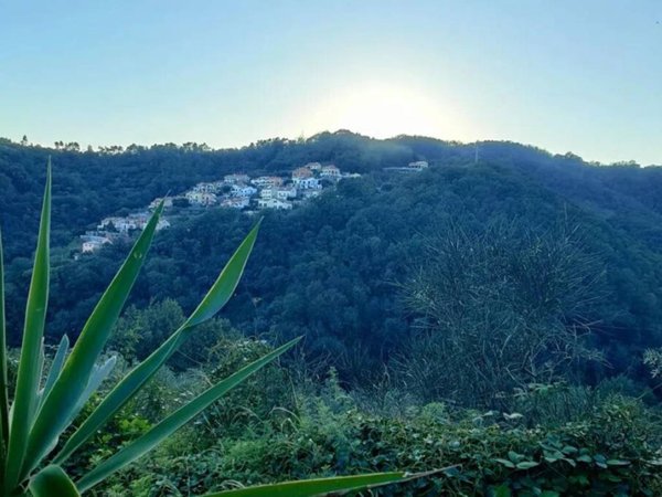 terreno agricolo in vendita ad Albissola Marina