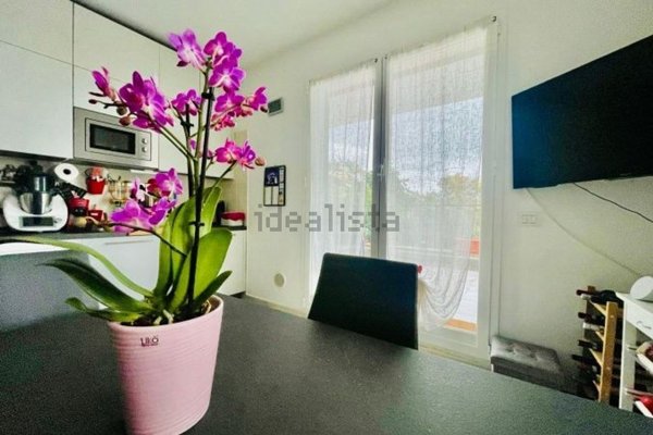 appartamento in vendita ad Albissola Marina