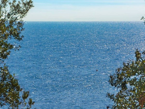appartamento in vendita ad Albissola Marina