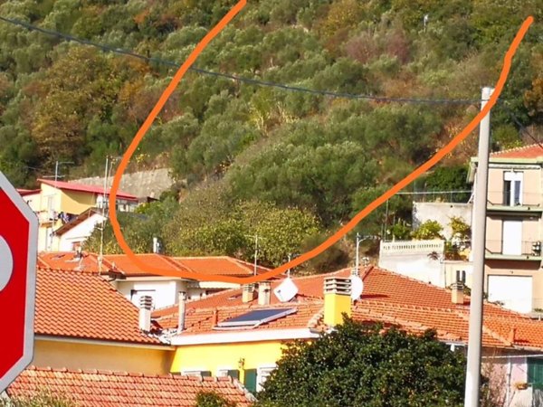 terreno agricolo in vendita ad Albisola Superiore