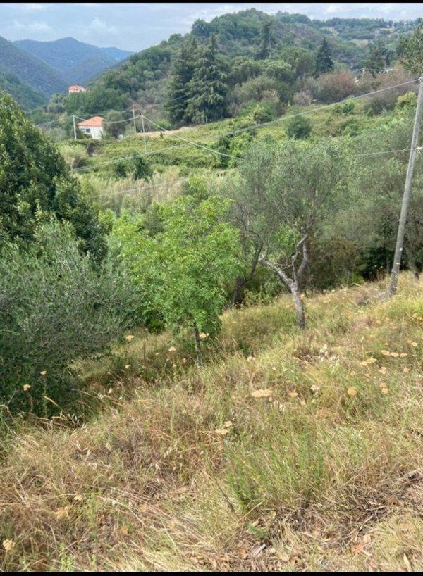 terreno agricolo in vendita ad Albisola Superiore