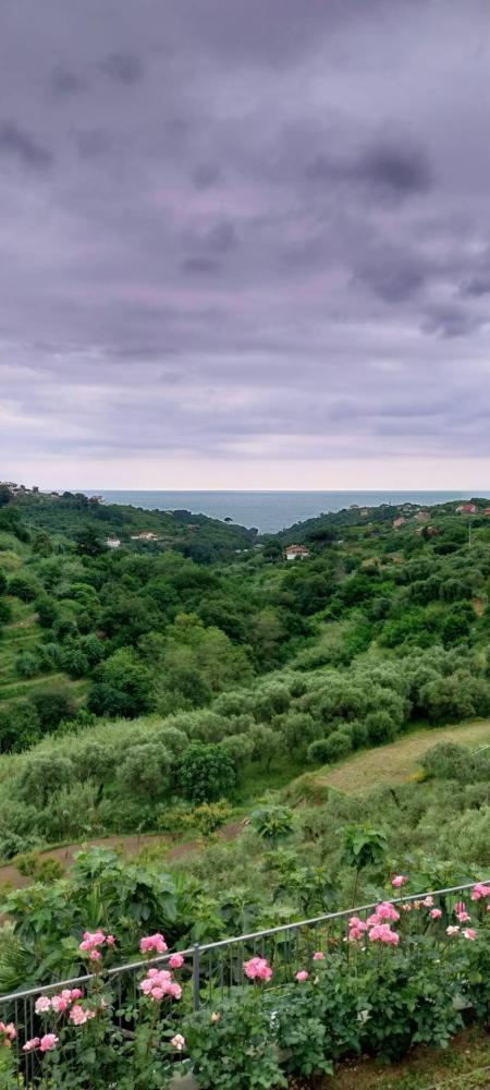 casa indipendente in vendita ad Albisola Superiore