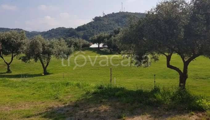 appartamento in vendita ad Albisola Superiore