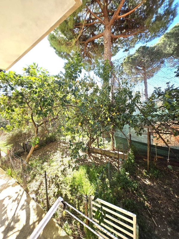 appartamento in vendita ad Albisola Superiore