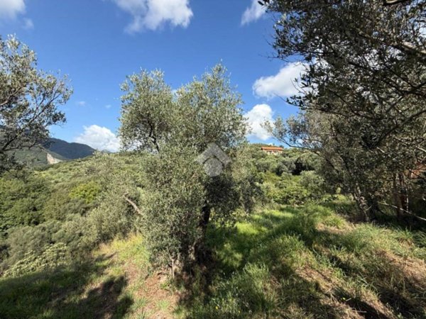 terreno agricolo in vendita ad Albisola Superiore