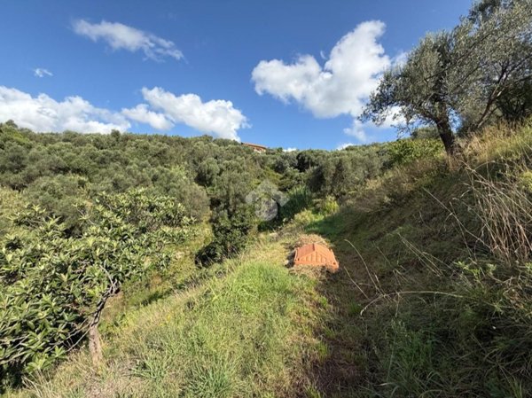 terreno edificabile in vendita ad Albisola Superiore