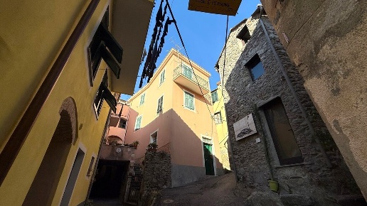 immagine annuncio 0 di 1