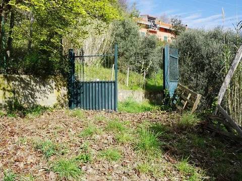 terreno agricolo in vendita ad Albisola Superiore in zona Ellera