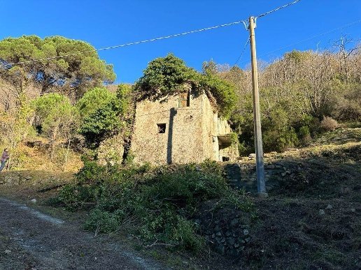 pentavano in vendita ad Albisola Superiore in zona Ellera