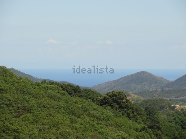 terreno agricolo in vendita ad Altare