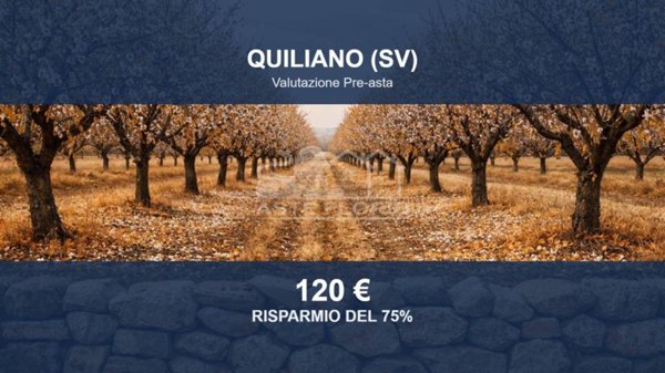 terreno agricolo in vendita ad Altare