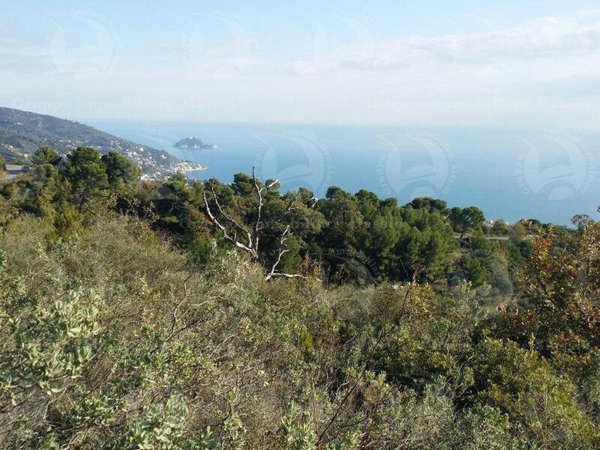 terreno agricolo in vendita ad Andora