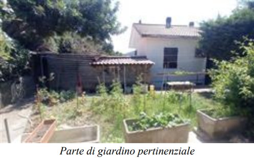 immagine annuncio 0 di 12