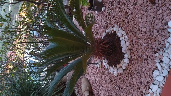 appartamento in vendita ad Andora