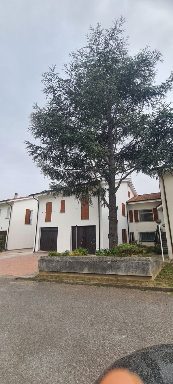 appartamento in vendita ad Andora in zona San Giovanni