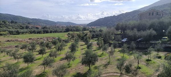 quadrivano in vendita ad Andora