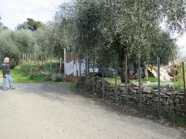 terreno agricolo in vendita ad Andora in zona San Bartolomeo