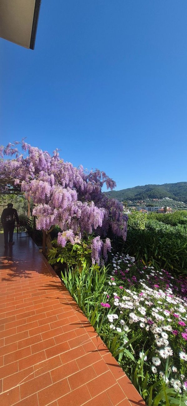 casa indipendente in vendita ad Andora