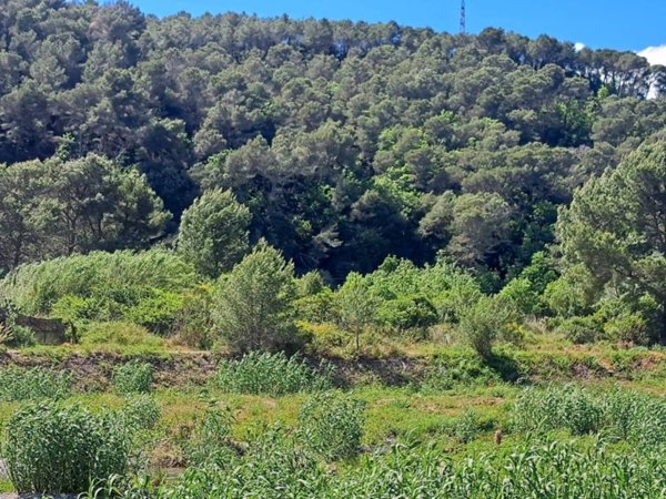 terreno agricolo in vendita ad Andora