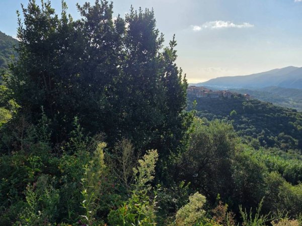 terreno agricolo in vendita ad Arnasco in zona Menosio