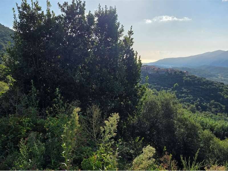 villa in vendita ad Arnasco in zona Menosio