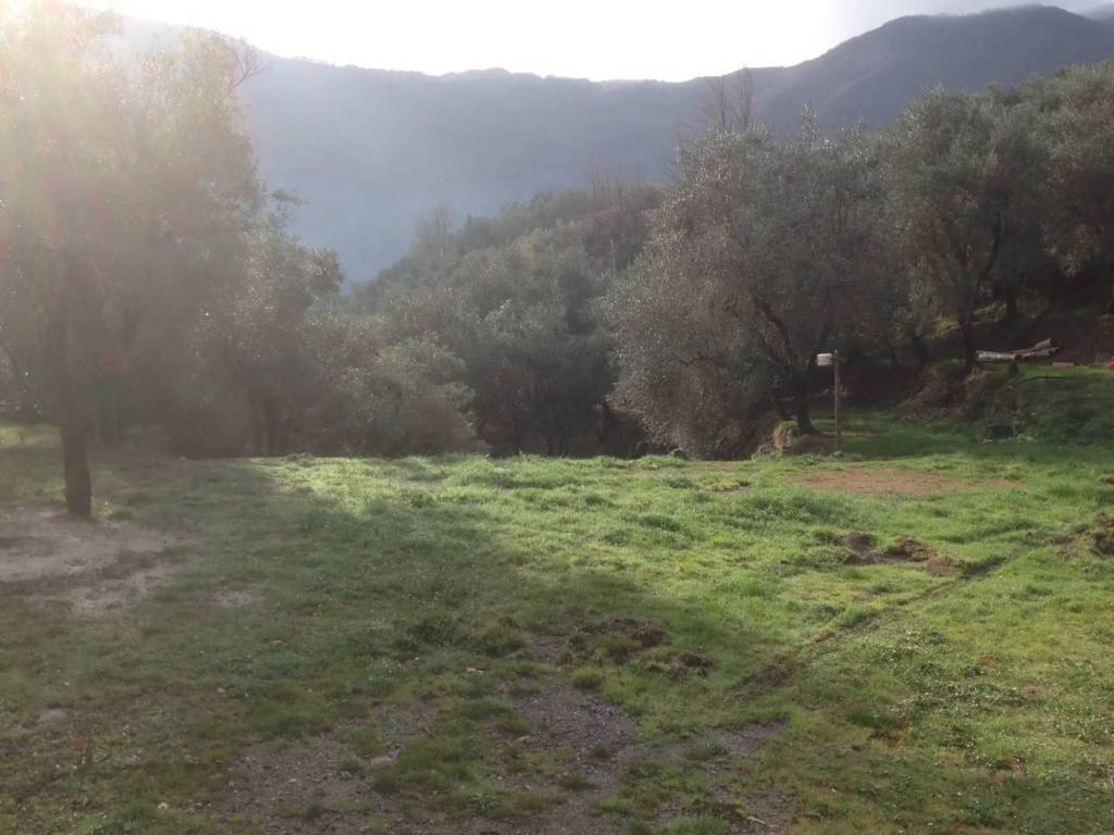 terreno agricolo in vendita a Balestrino