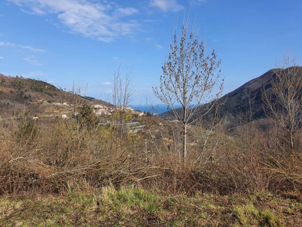 casa indipendente in vendita a Balestrino in zona Bergalla