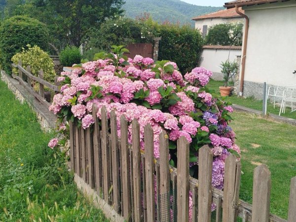 casa indipendente in vendita a Bardineto