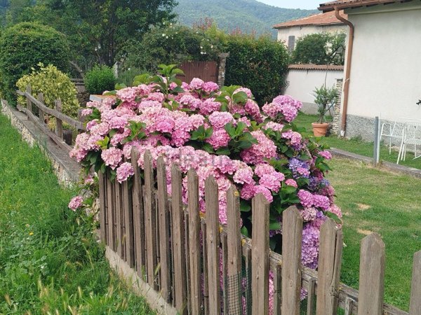 casa indipendente in vendita a Bardineto