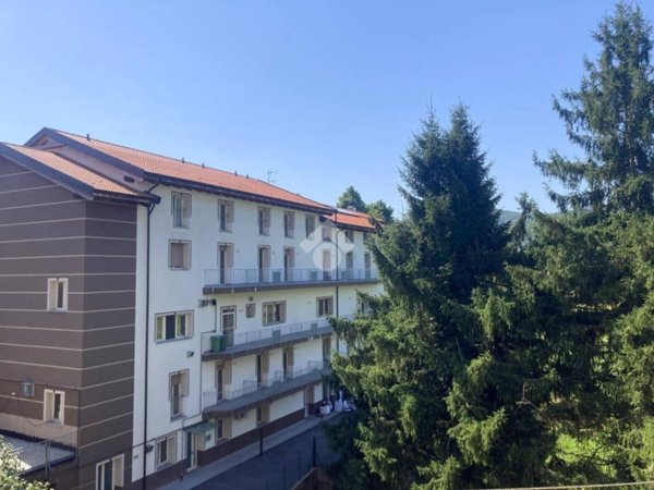 appartamento in vendita a Bardineto