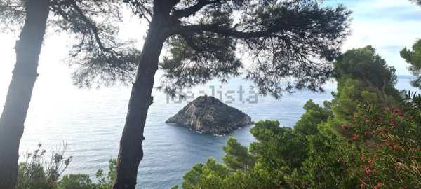 appartamento in vendita a Bergeggi