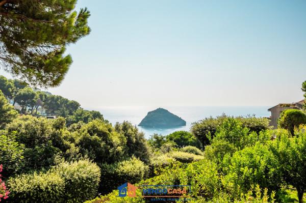 immagine annuncio 0 di 15