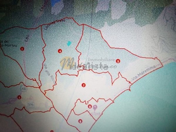 terreno agricolo in vendita a Bergeggi