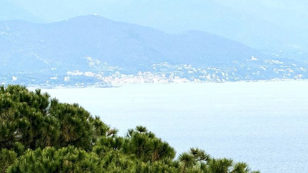 appartamento in vendita a Bergeggi