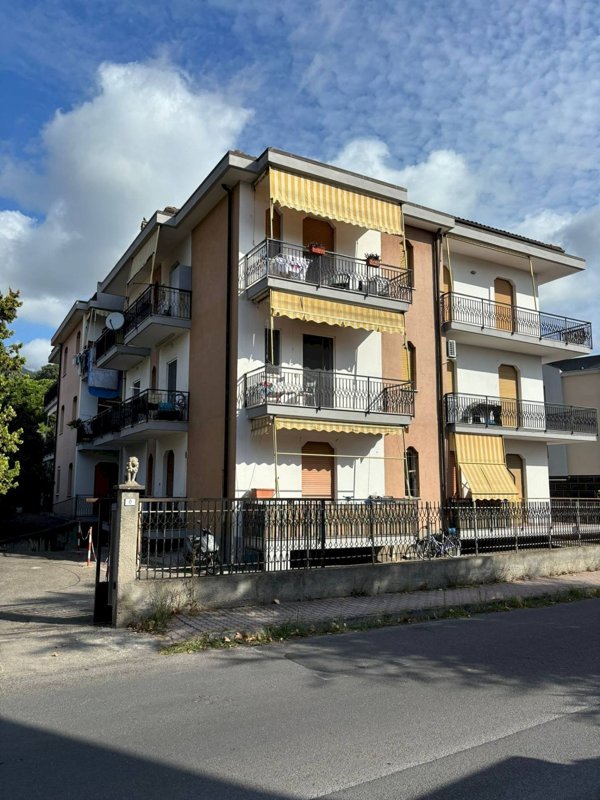 immagine annuncio 0 di 15