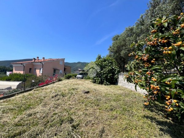 terreno agricolo in vendita a Boissano
