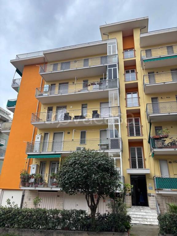 immagine annuncio 0 di 15