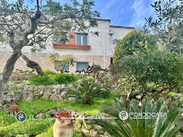 casa indipendente in vendita a Borgio Verezzi