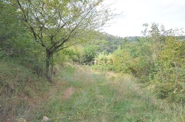 casale in vendita a Borgio Verezzi