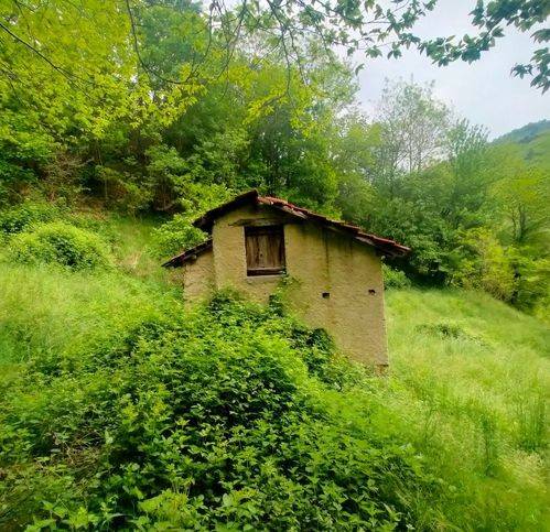 casa indipendente in vendita a Bormida
